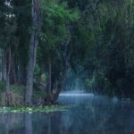Effets De La Lune Sur Les…